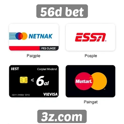 Métodos de pagamento disponíveis no 56d bet